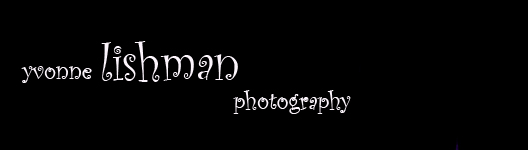 Wedding Photographer Nottingham 